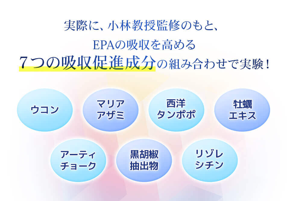 7つの吸収促進成分がEPAの吸収を高める