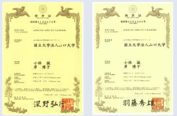 血管病予防食品の研究成果が2つの特許を取得