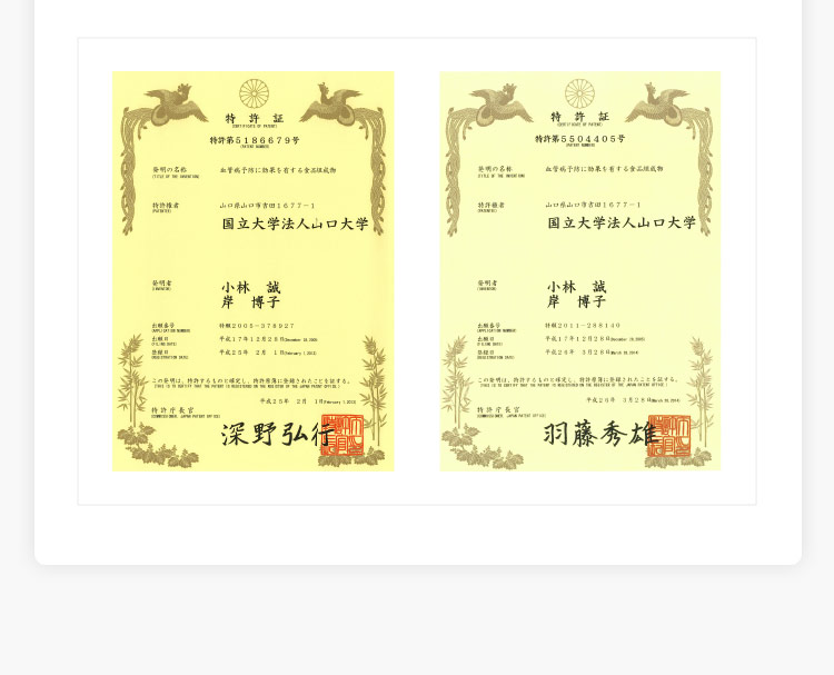 ｢血管病予防食品｣の研究成果が2つの特許を取得