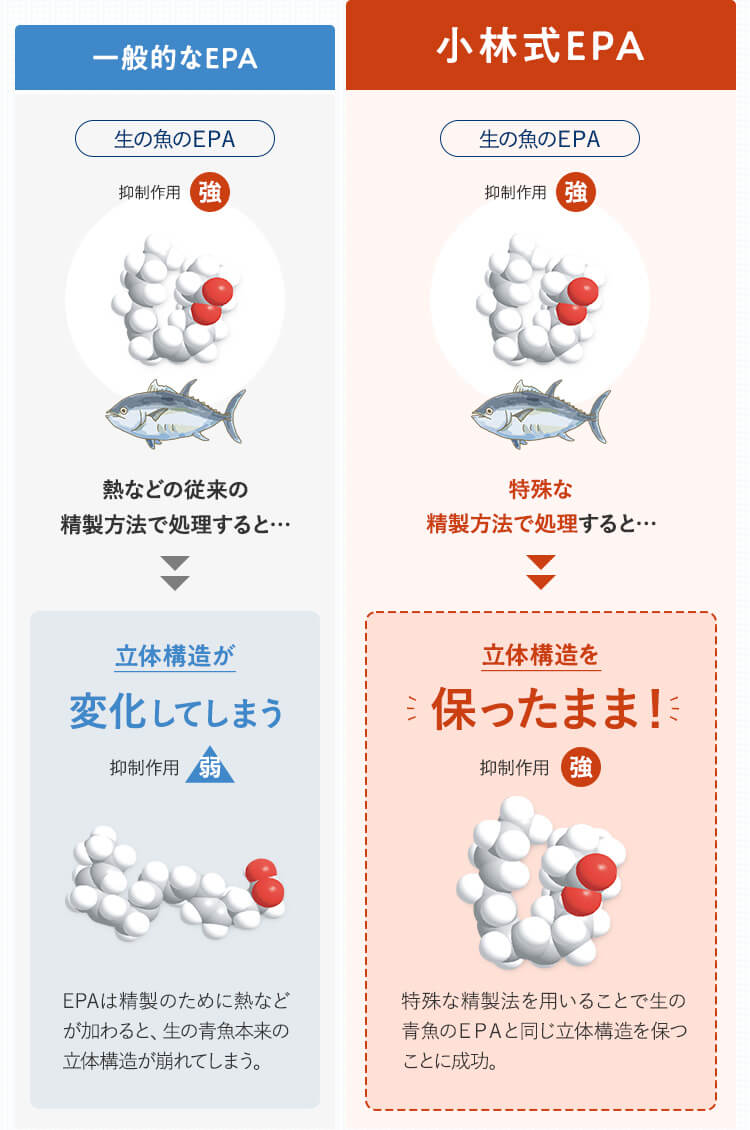 一般的なEPA 立体構造が変化してしまう 抑制作用弱・小林式EPA 立体構造を保ったまま 抑制作用強