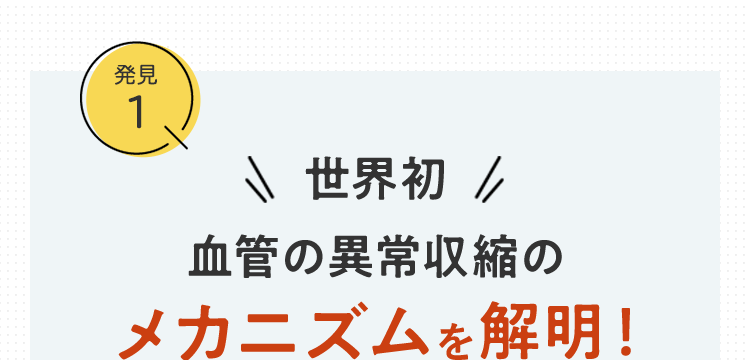 世界初 血管の異常収縮のメカニズムを解明！